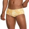 Speedo Vibe Men's Printed Euro Brief Swimsuit