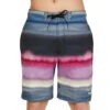 Speedo Men's 20" Coastal Ombre Bondi Board Shorts